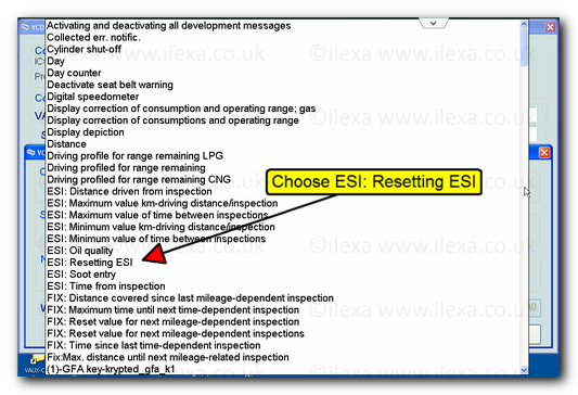 VCDS screen shot showing instrument cluster adaptation channels with arrow pointing at ESI resetting ESI entry